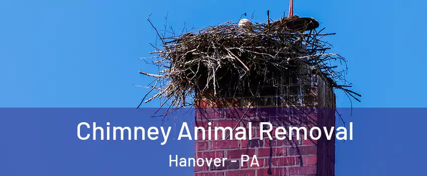 Chimney Animal Removal Hanover - PA