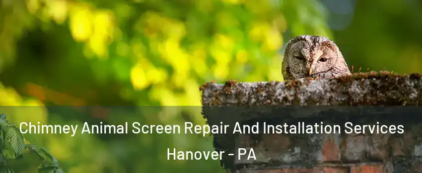  Chimney Animal Screen Repair And Installation Services Hanover - PA