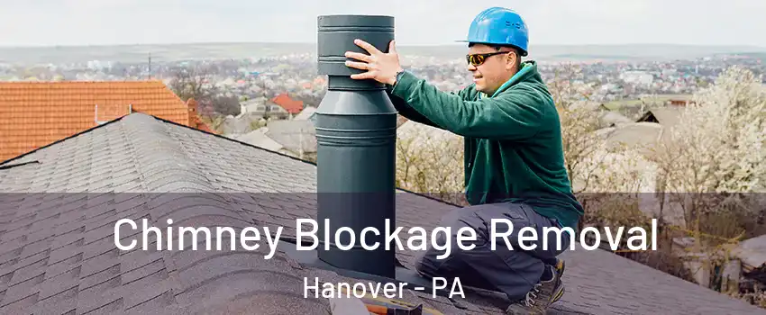  Chimney Blockage Removal Hanover - PA