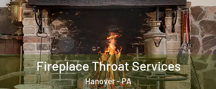  Fireplace Throat Services Hanover - PA