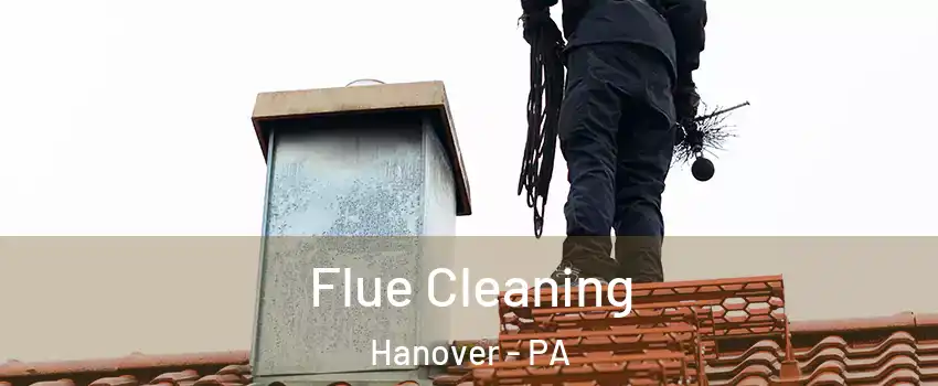  Flue Cleaning Hanover - PA