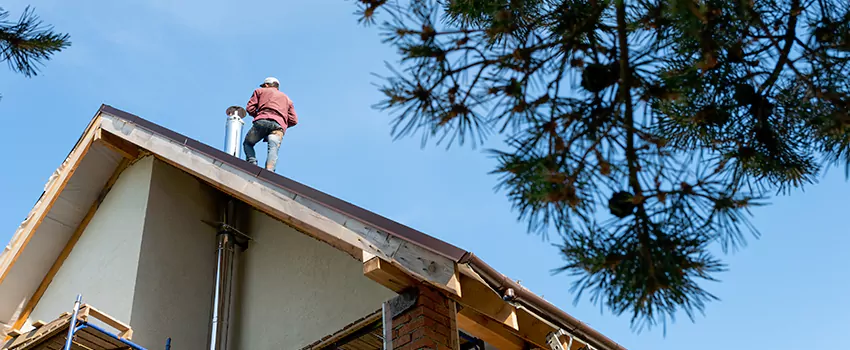 Birds Removal Contractors from Chimney in Hanover, PA
