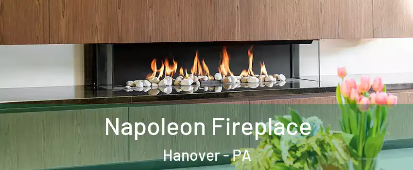  Napoleon Fireplace Hanover - PA